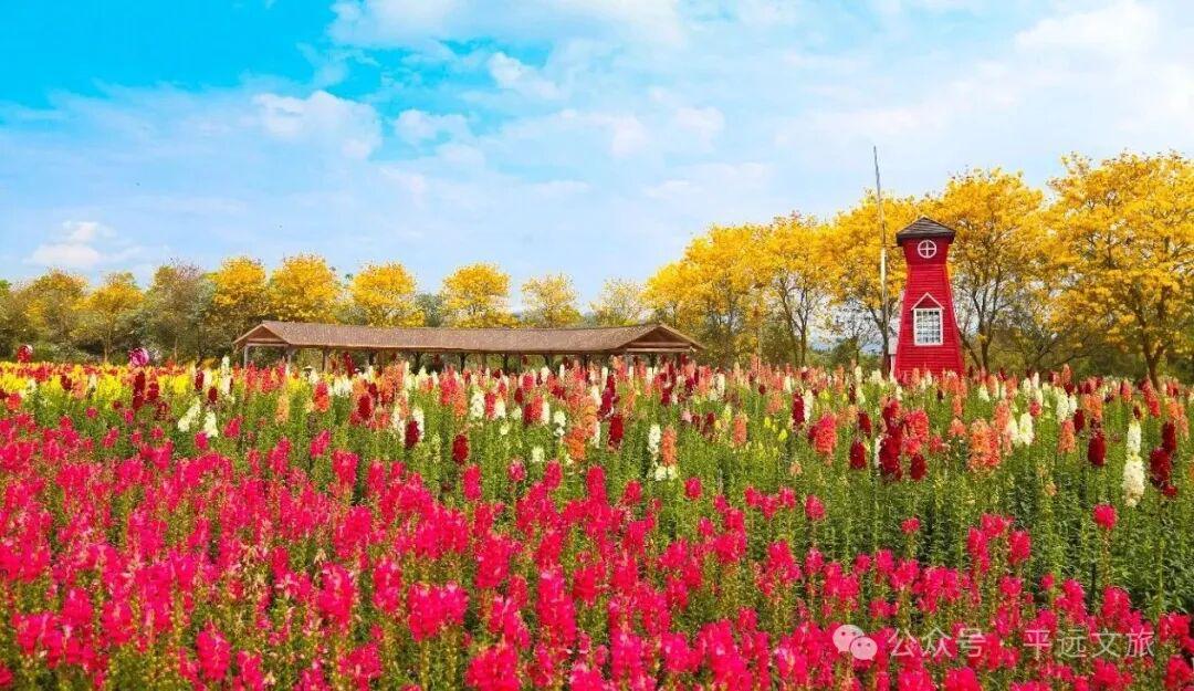 竞猜有奖!平远县“盛世豪庭杯”(贺岁杯)足球赛2月8日激情开赛