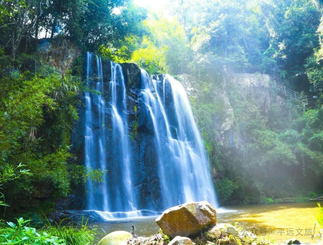 竞猜有奖!平远县“盛世豪庭杯”(贺岁杯)足球赛2月8日激情开赛